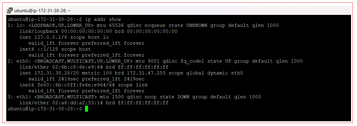 multiple-ip-address-to-ec2-virtual-machine-10